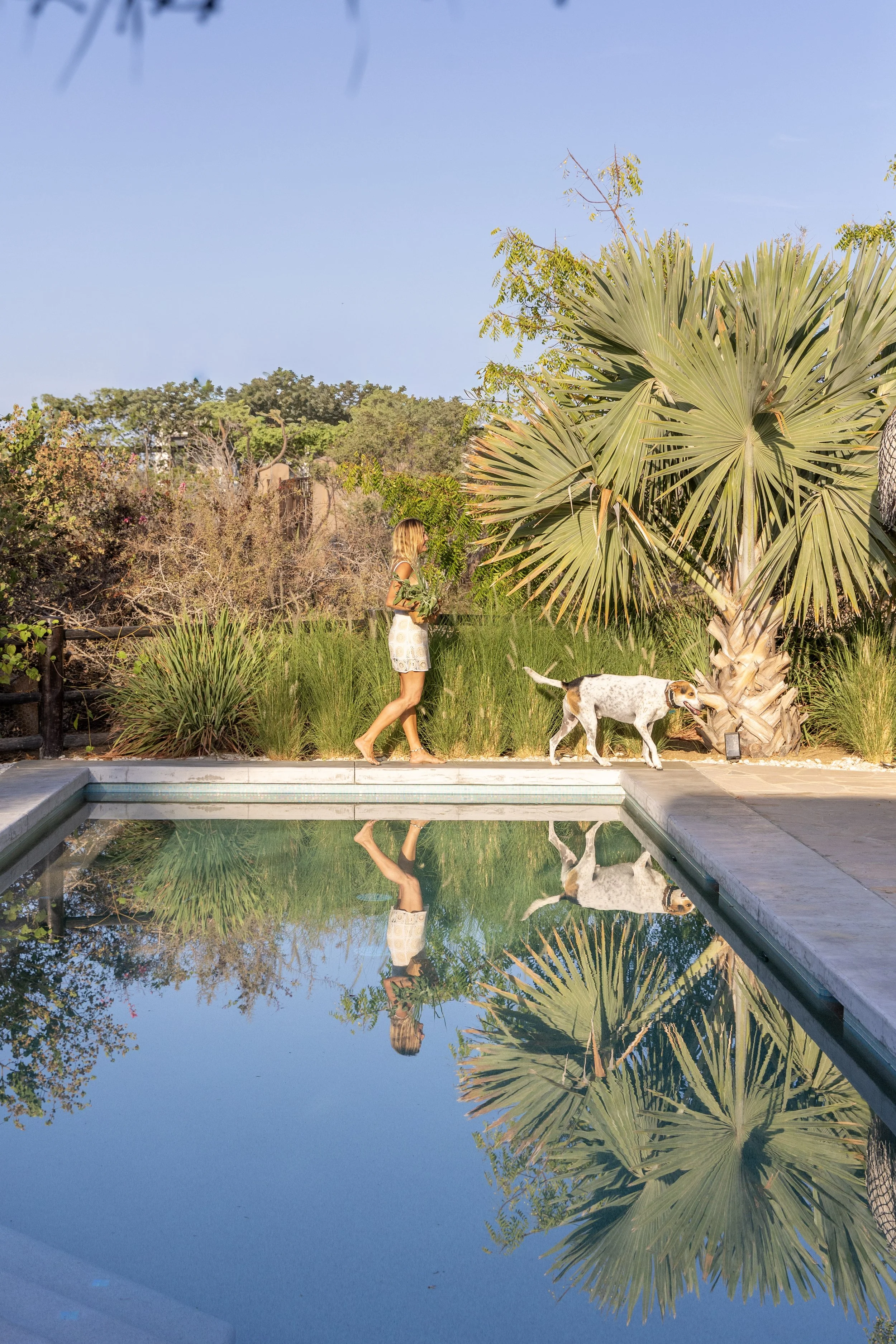 Saltwater pool and gardens at Baja California herbalism retreat property