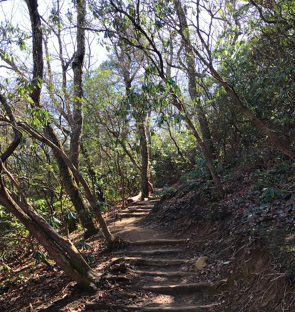 Screen Shot 2024-03-10 at 7.09.16 PM.png