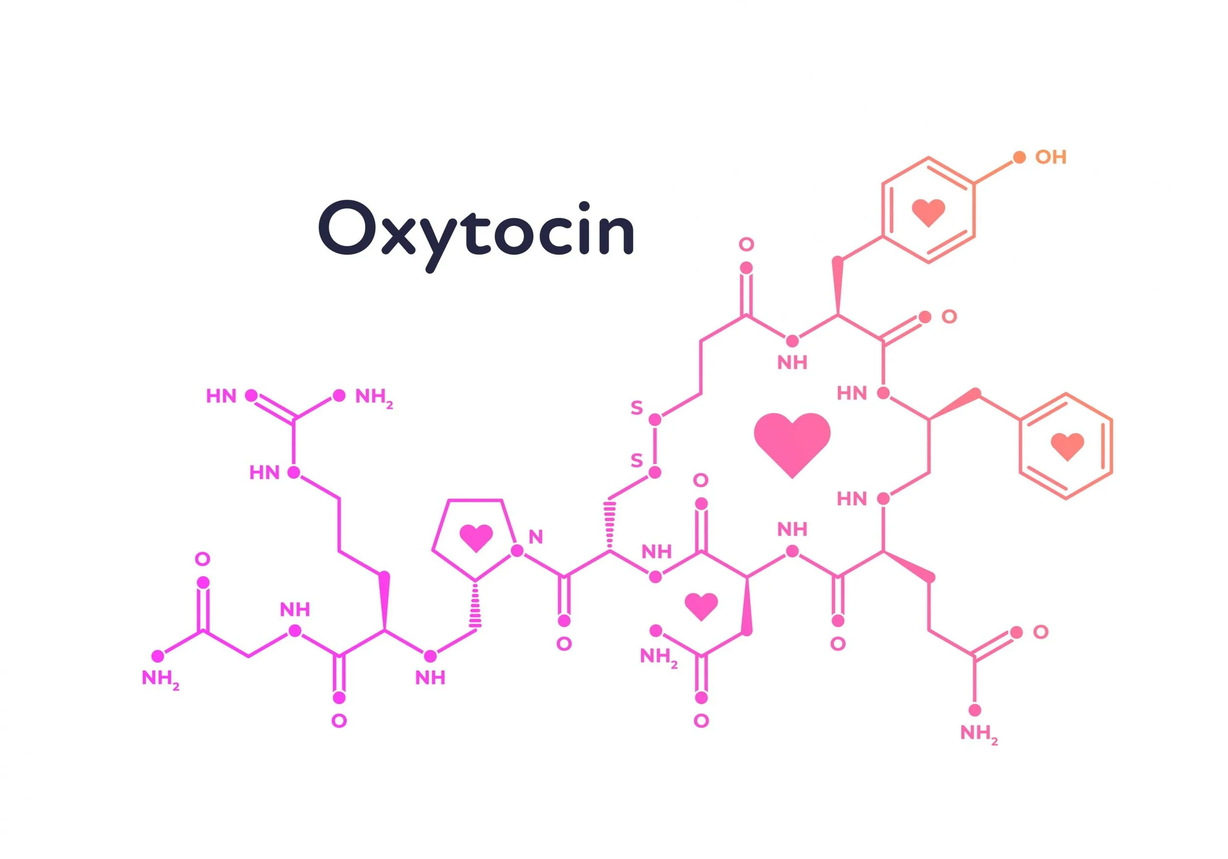 The Role of Oxytocin in Labor