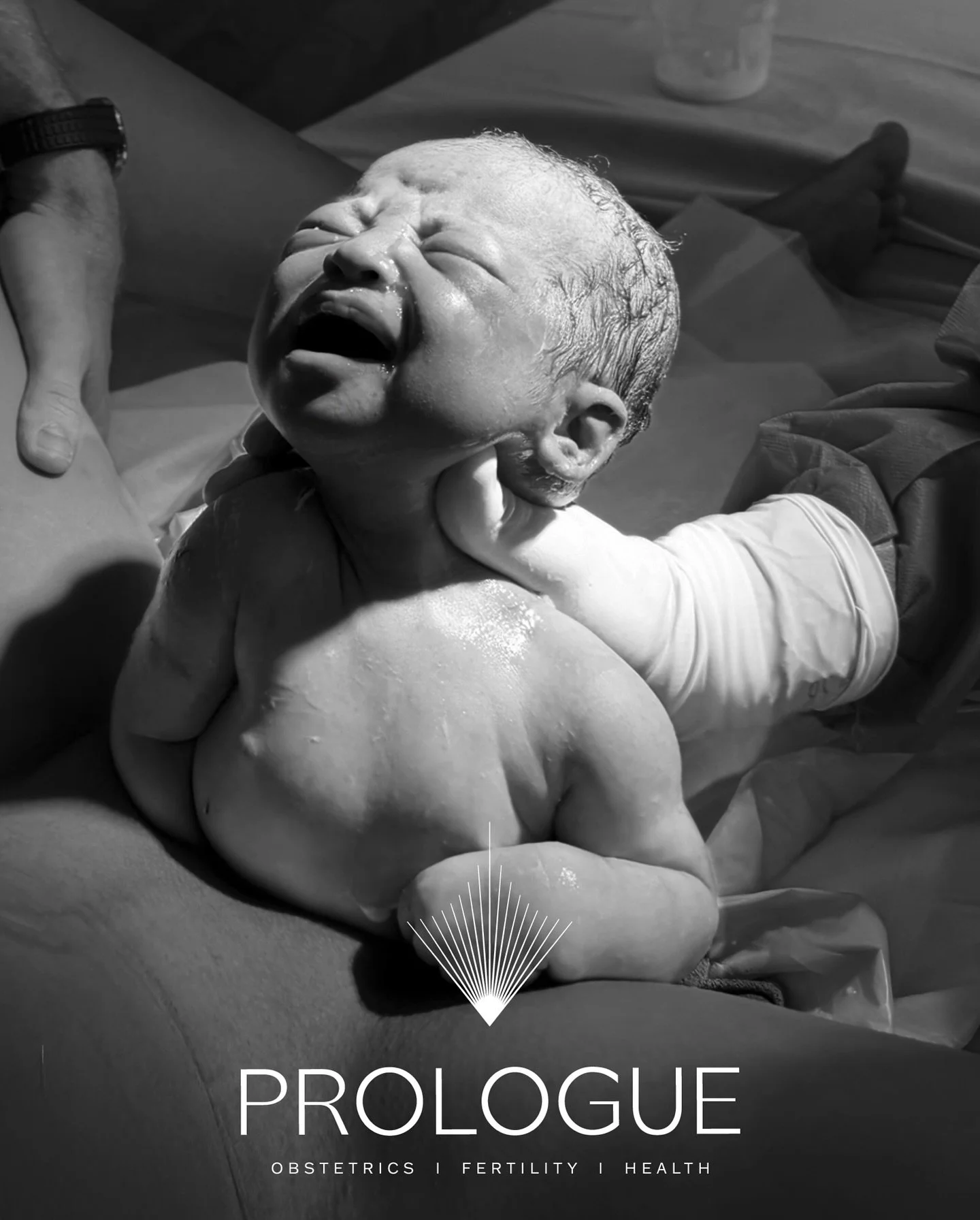 Wanting a vaginal birth? We do that! 
At Prologue every patient is listened to and has a birth plan curated so when the big day arrives it can be based on educated decisions by you and your preferences and priorities are understood by us. We will al