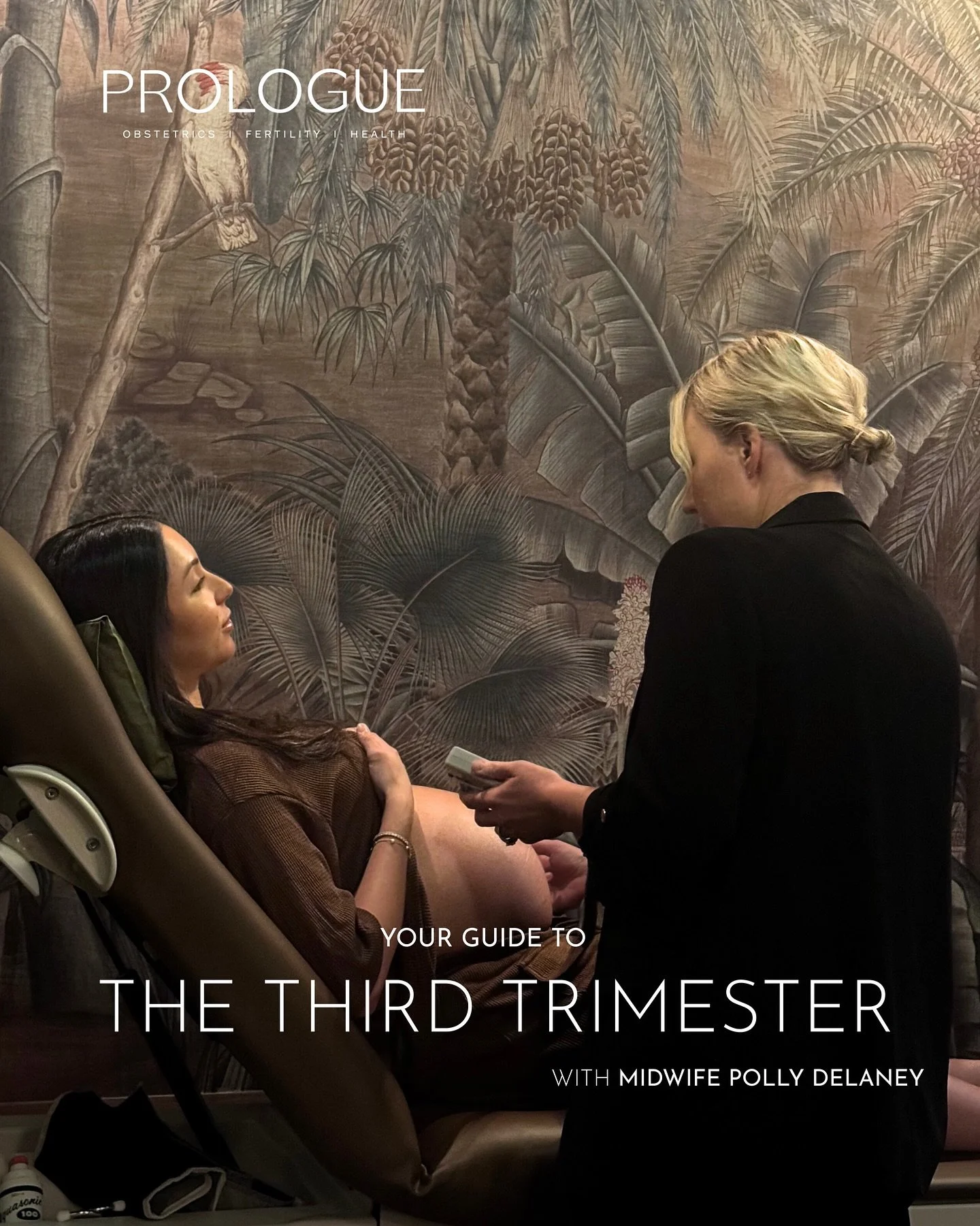 The final trimester is more than just waiting, it is the time to set yourself up for success. Preparing with intention and surrounding yourself with care will give you the confidence, resources and skills to take on the next chapter. 
Prologue works