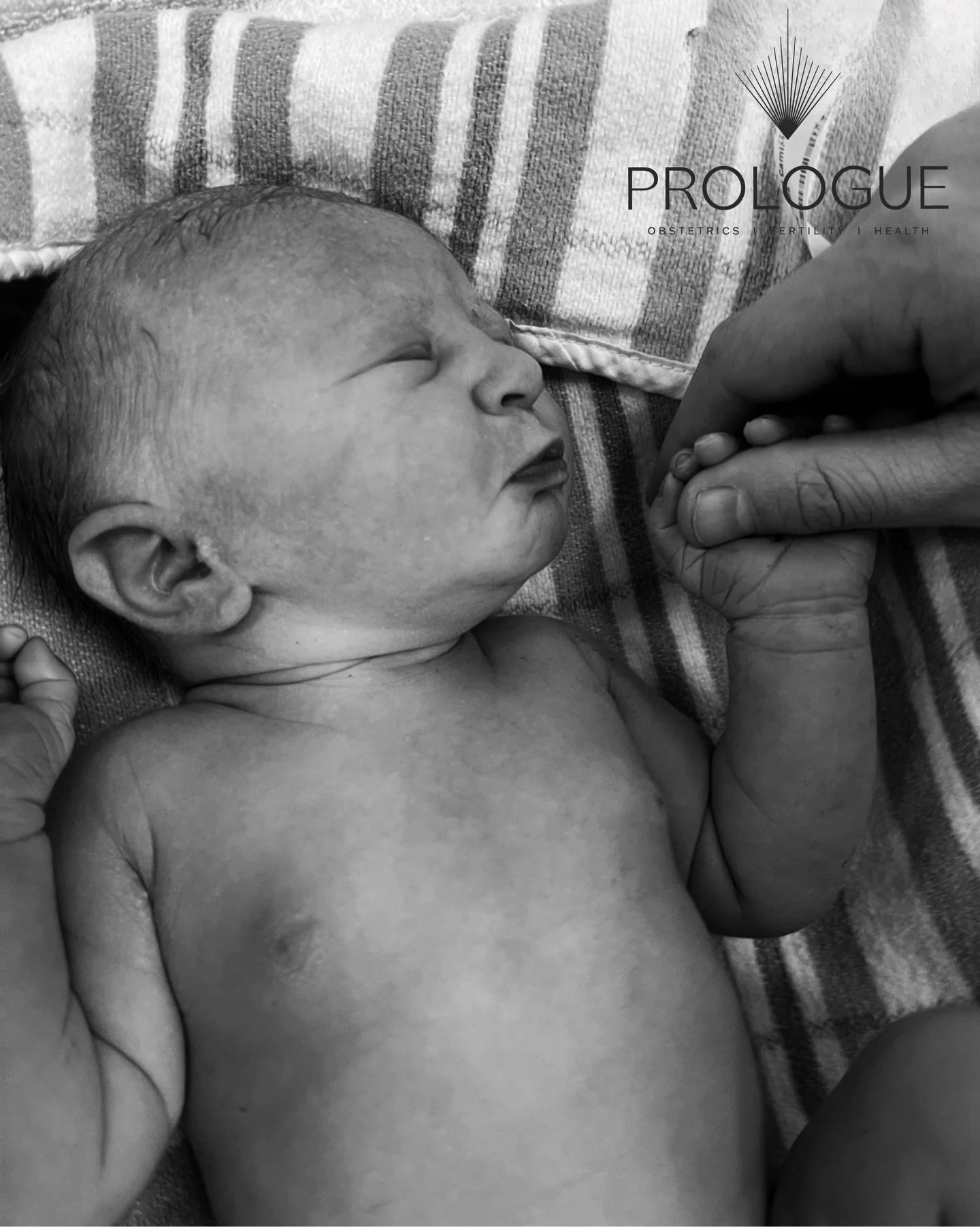 As we move through Perinatal Mental Health Week, we reflect on the focus Prologue places on supporting our pregnant clients not only during their pregnancy but as they make the transition into parenting their new baby. 

We recognise every journey is