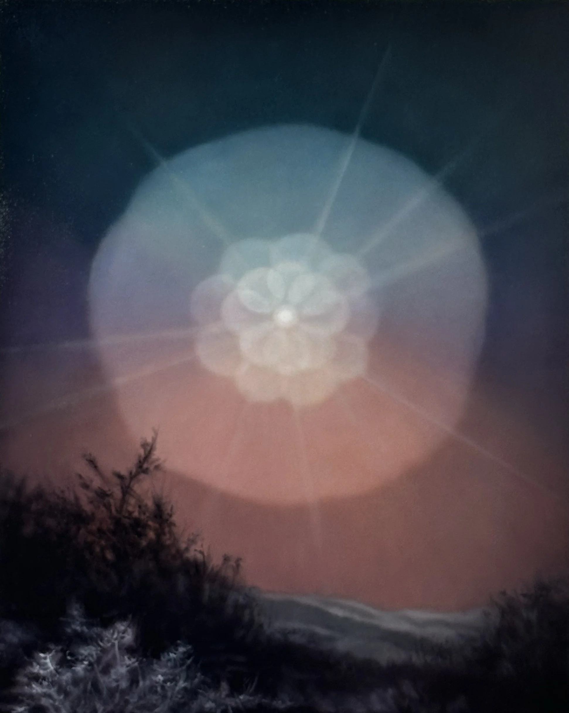 Jenn Shifflet - We are Fleeting Skies, January 13th - Feb 28th 2026