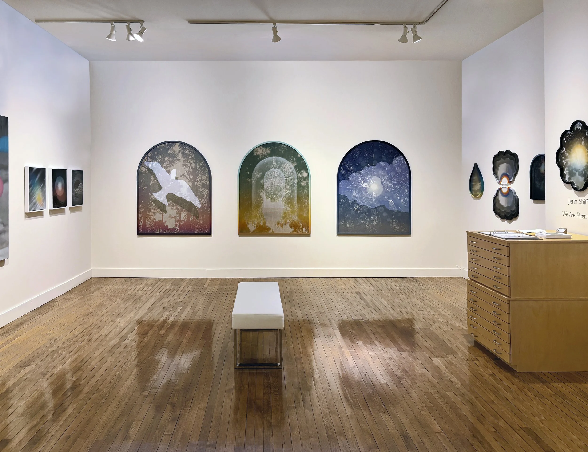 Jenn Shifflet - We are Fleeting Skies, January 13th - Feb 28th 2026