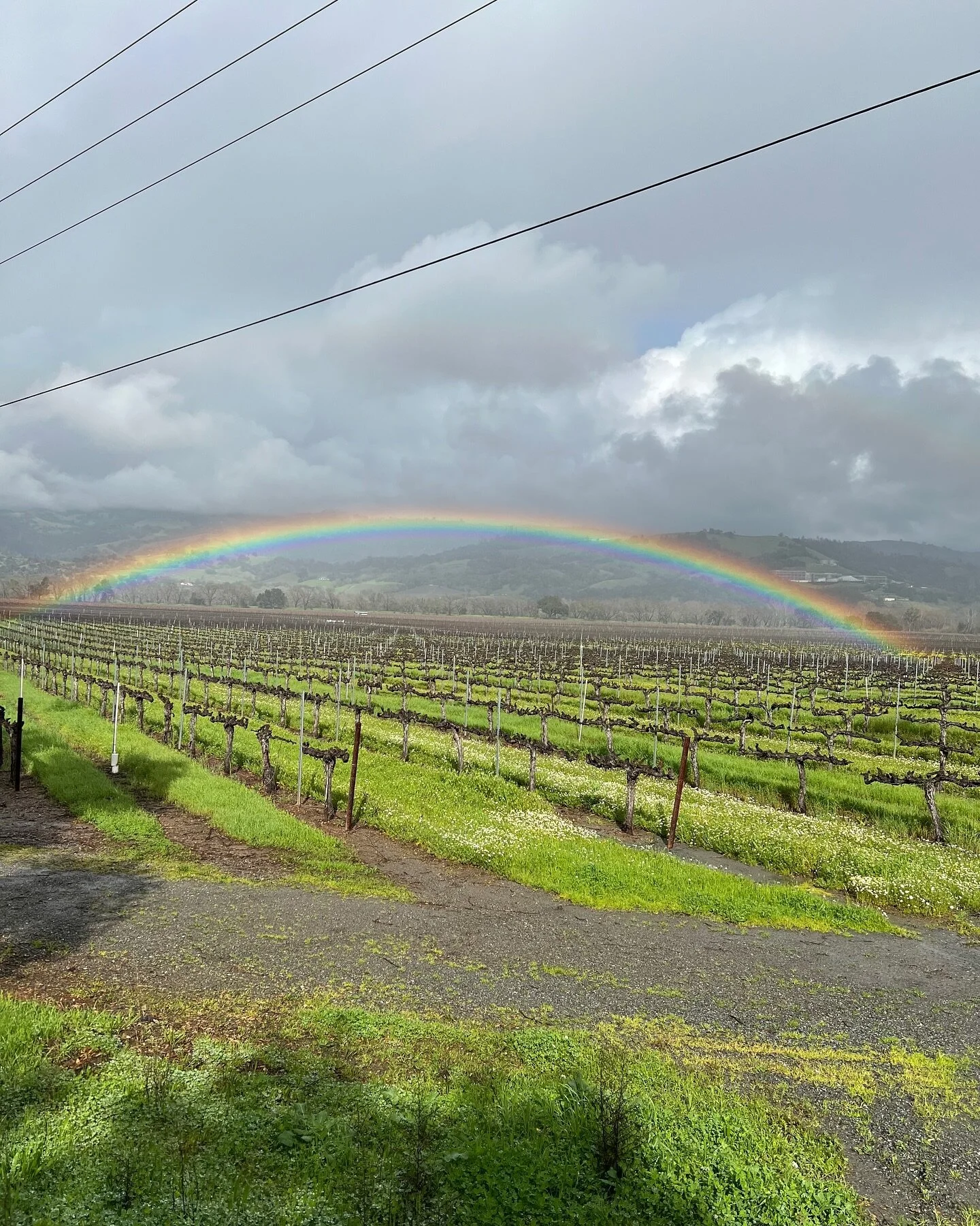 Post rain views at the Nervo Ranch 🌈