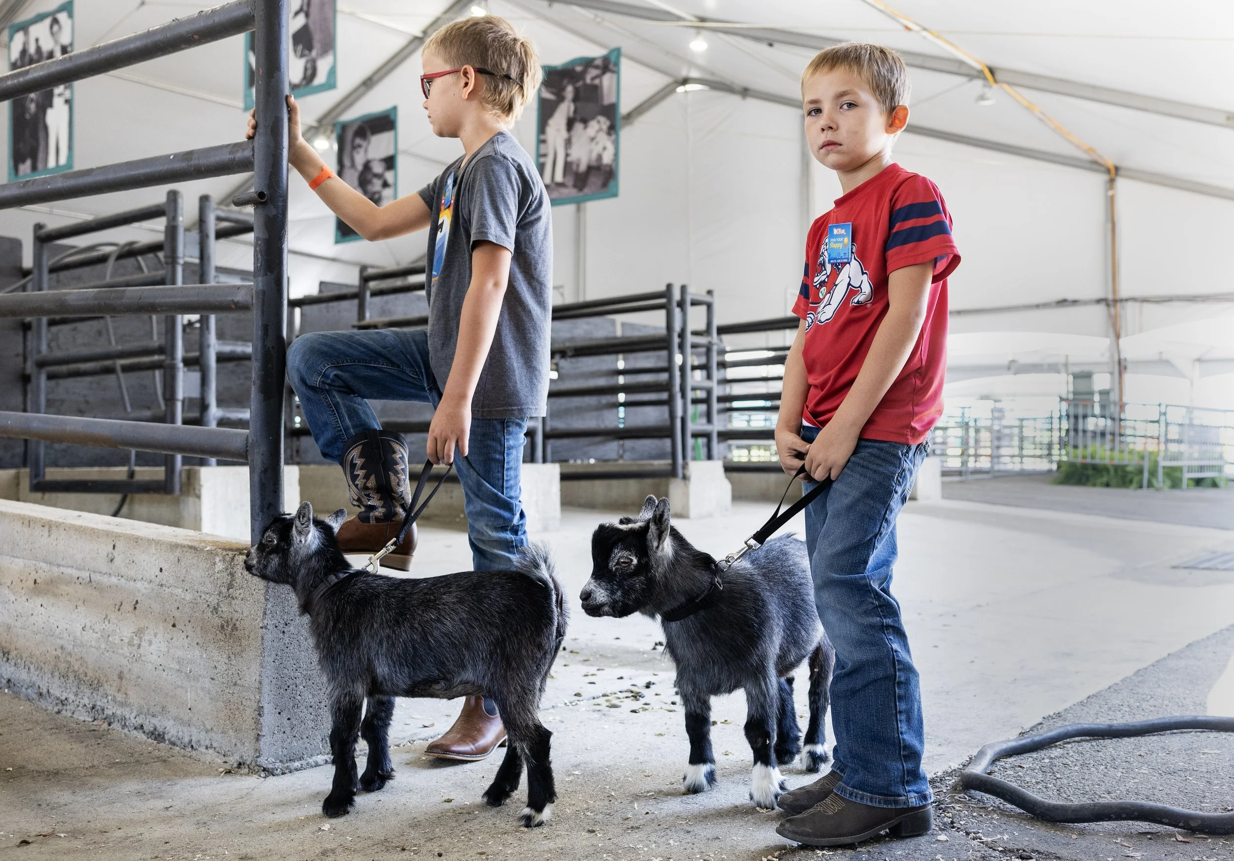 Kaden Vandergon, 9, left, and Kollin Vandergon, 7, wait to take their pygmy goats through an obstacle course during the first day of the Orange County Fair on July 18, 2025, in Costa Mesa, Calif. The whole Vandergon family had come in from Sanger, Ca