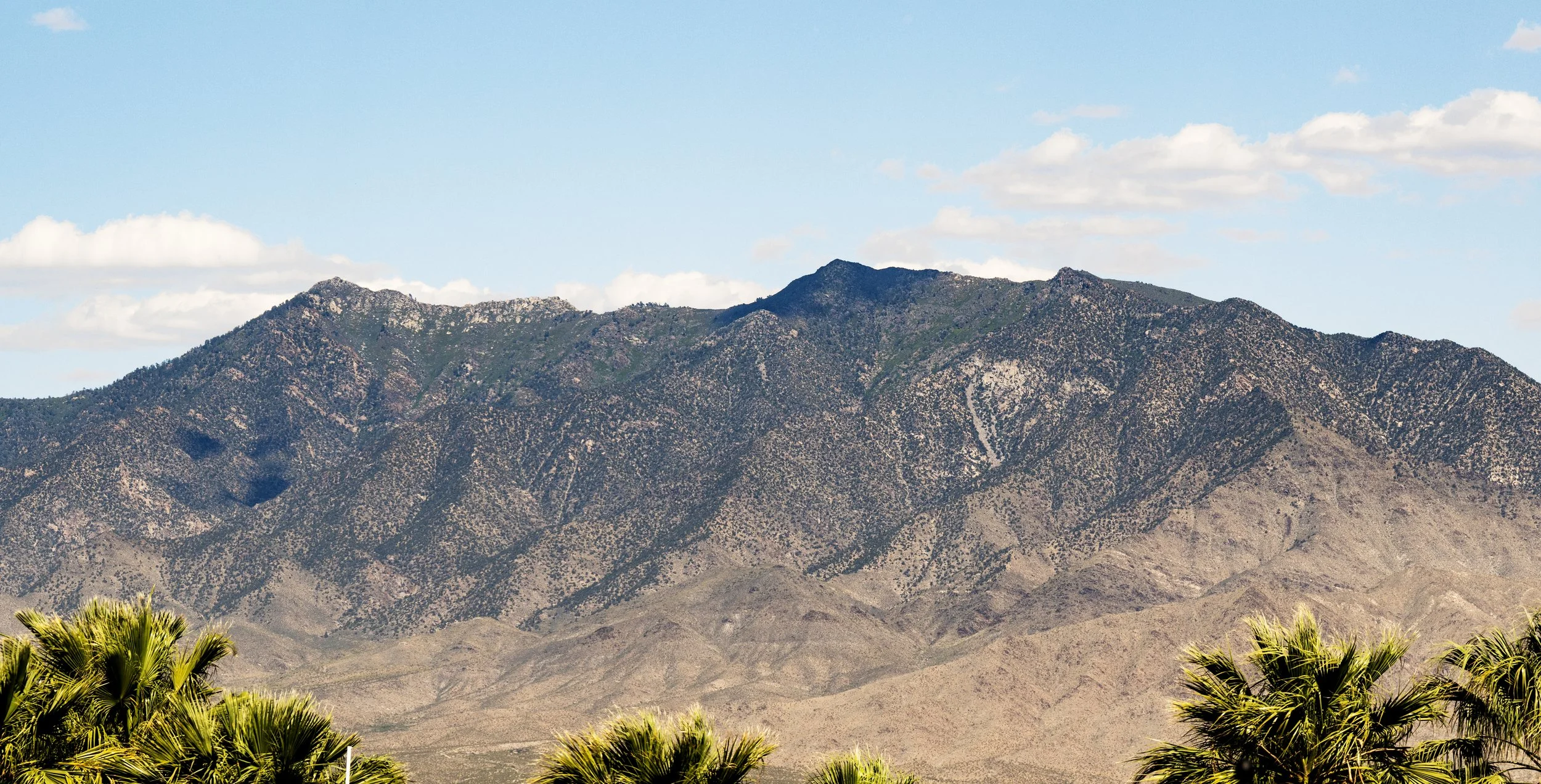 93° E
36°48’35’’ N 114°3’45’’ W

1630ft 

05/17/24

390 Hillside Drive
Mesquite, NV 89027
United States