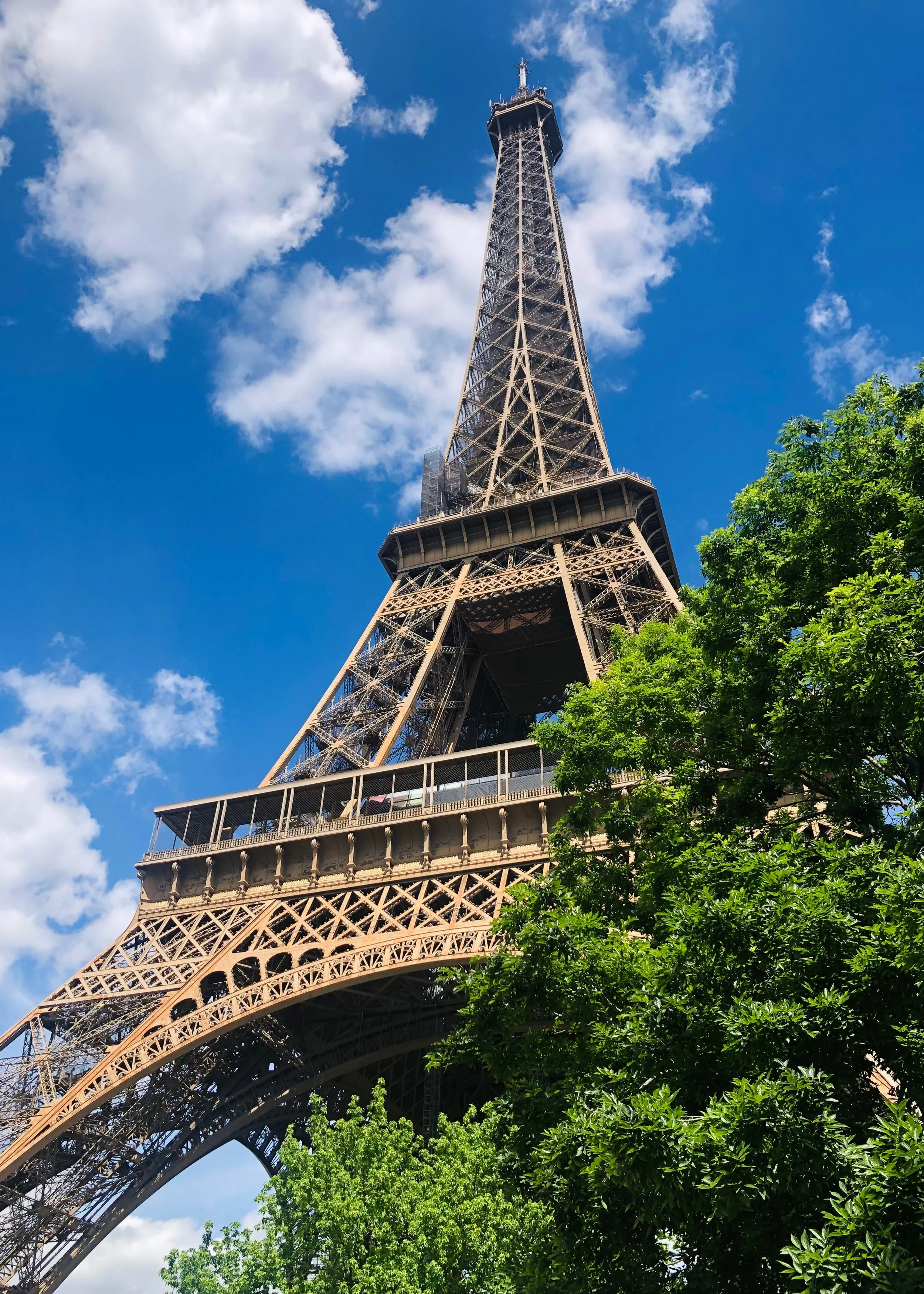 Paris 1.jpg