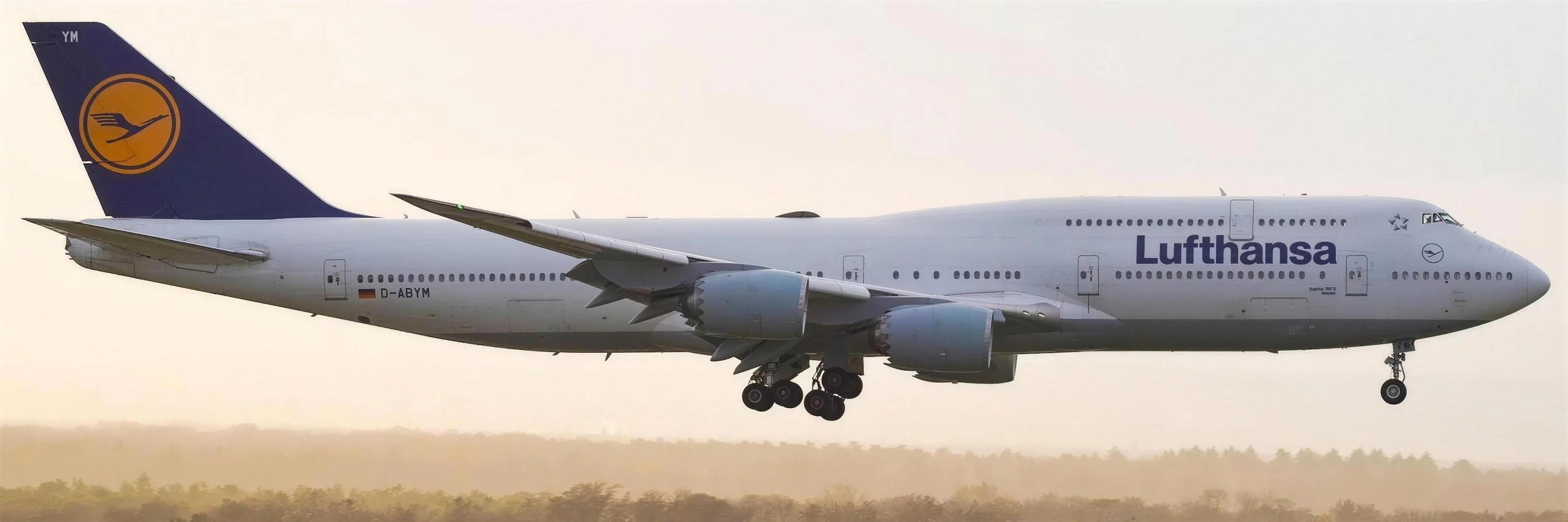Lufthansa Boeing 747-8 D-ABYM on final approach in golden evening light