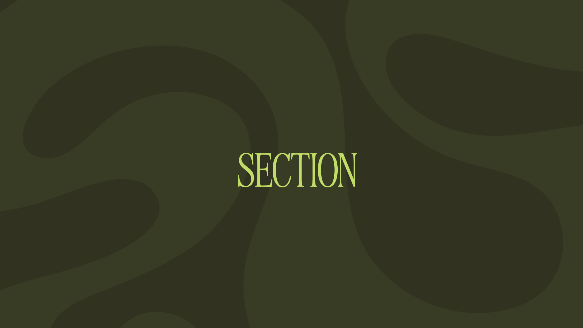 Slide with a green background and the word 'SECTION' written in light green text.