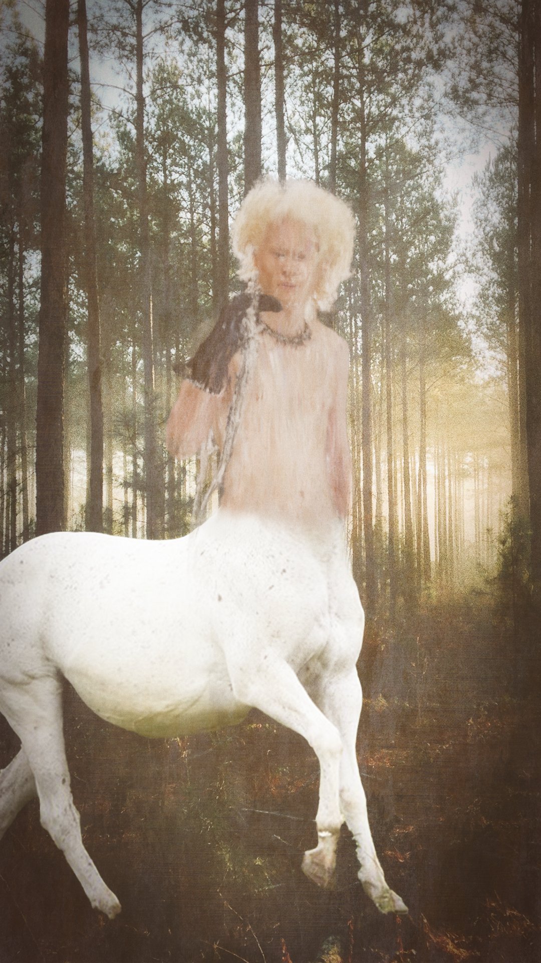centaur.jpeg