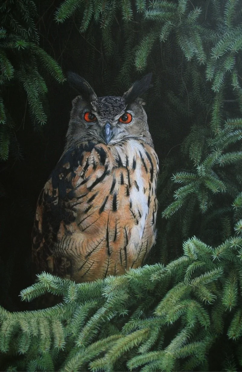 "Europeaan eagle owl" 40cm x 60cm (sold)