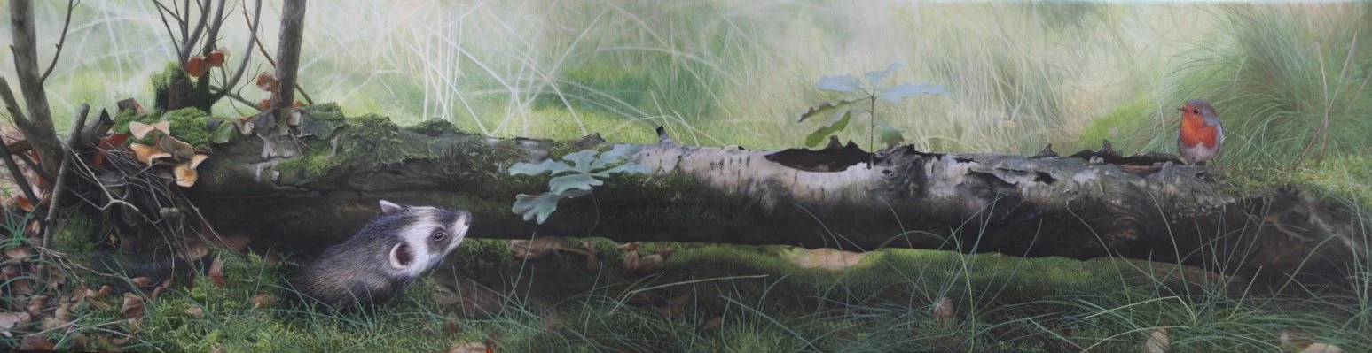 "Polecat and robin" 30cm x 120cm Acrylic (sold)