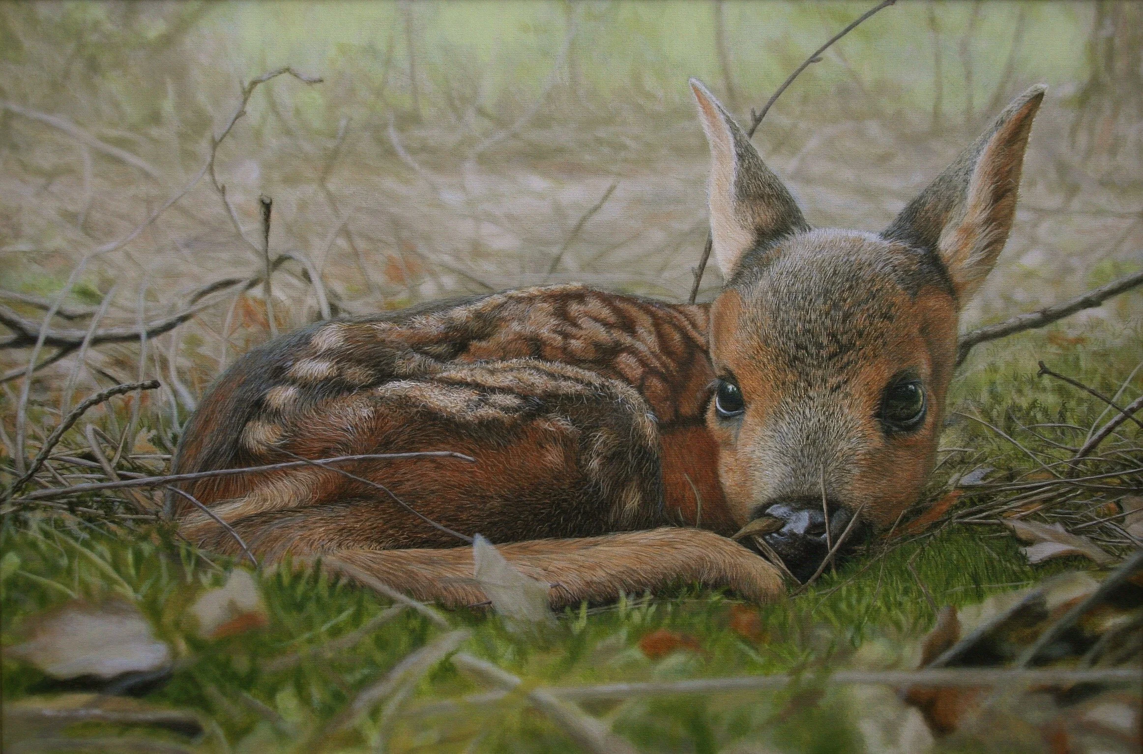 "Fawn" 40cm x 60cm Acrylic (sold)