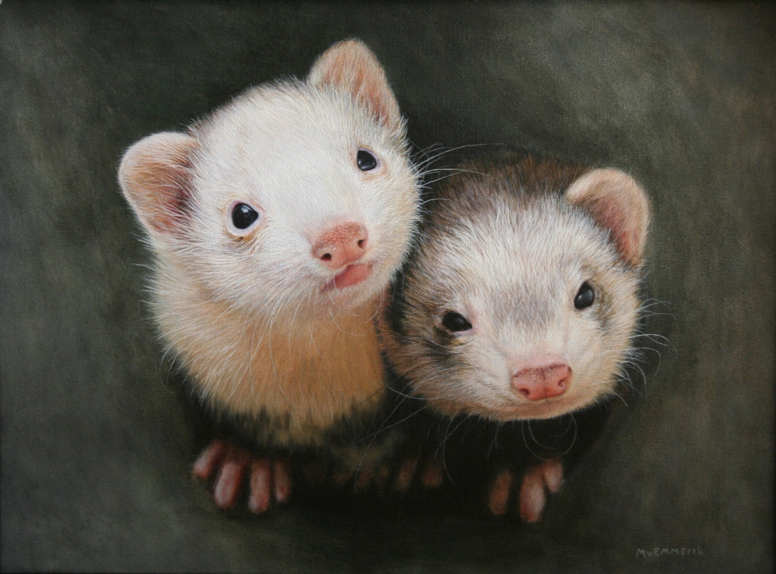 "Ferret" 30cm x 40cm Acrylic (sold)