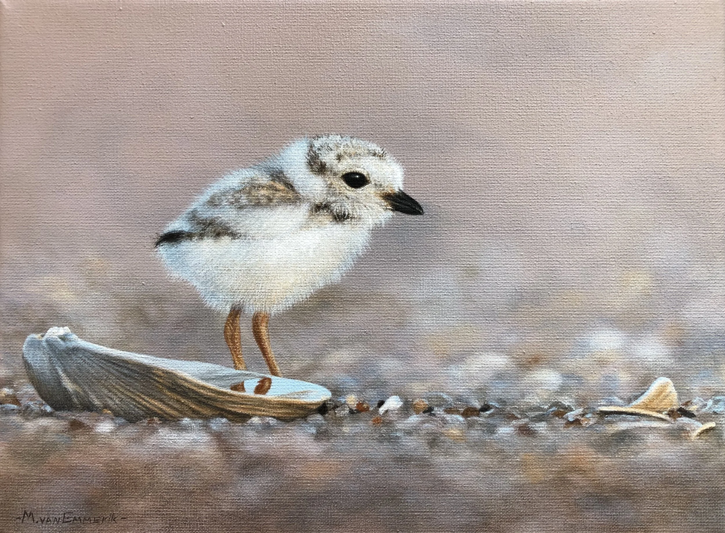 "Baby sandpiper" 24cm x 18cm Acrylic
