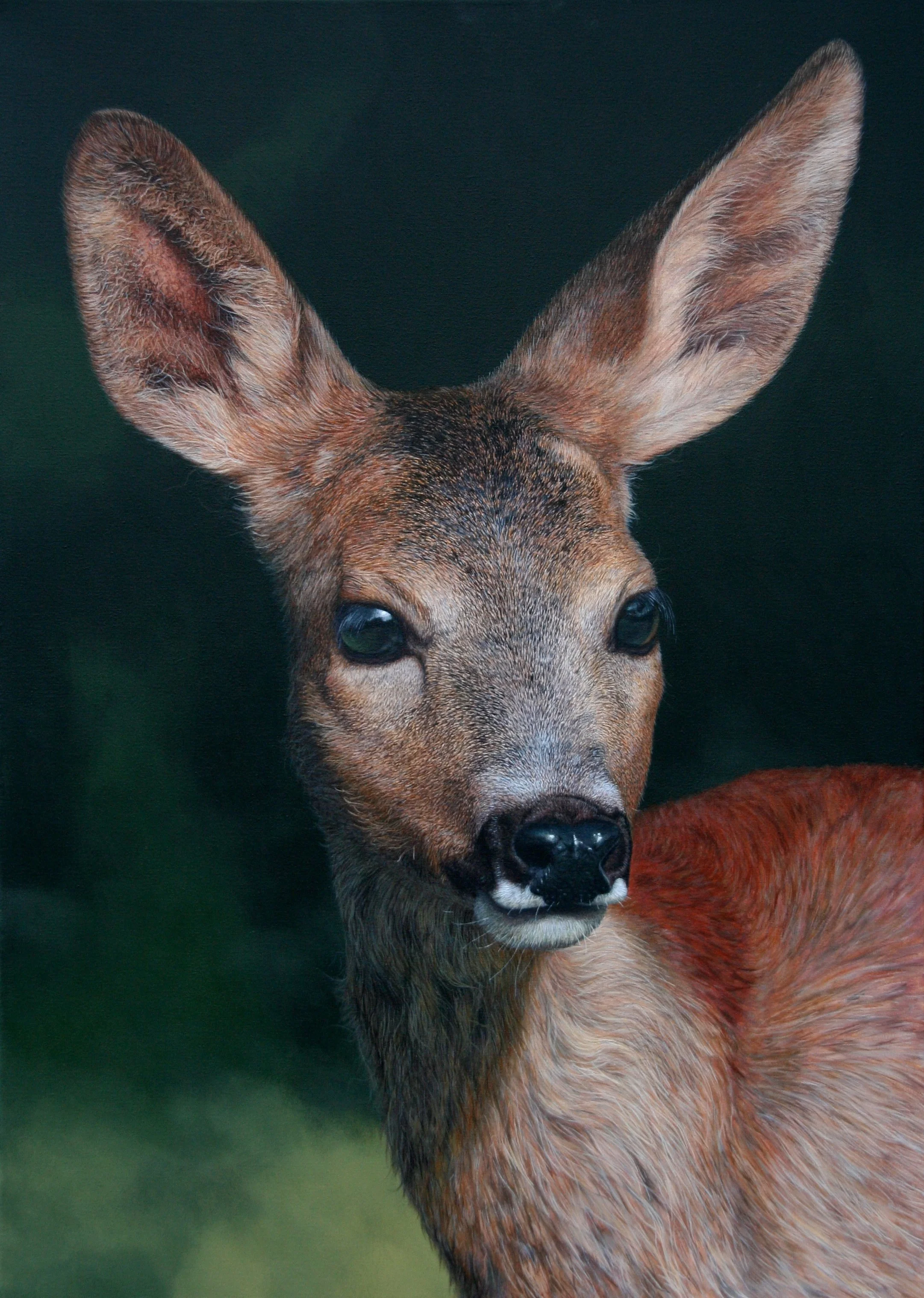 "Roe deer" 60cm x 80cm Acrylic (sold)