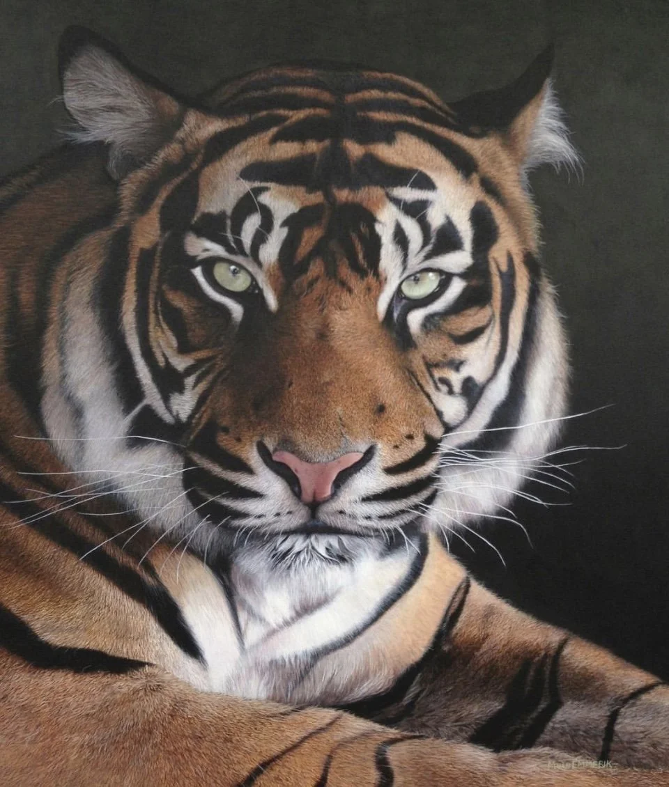 "Sumatran tiger" 60cm x 70cm Acrylic