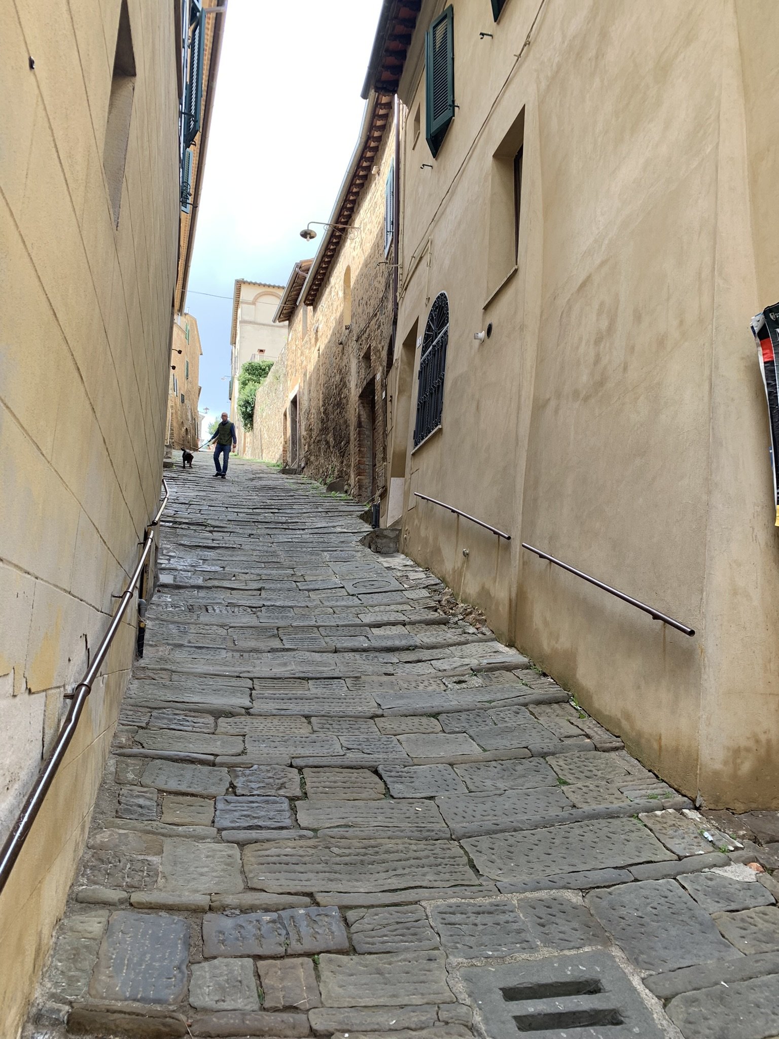 IMG_5186.jpeg