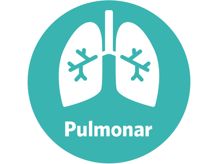pulmonar.png