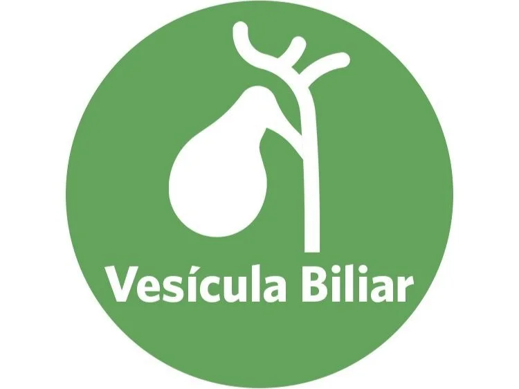 vesicula.jpg