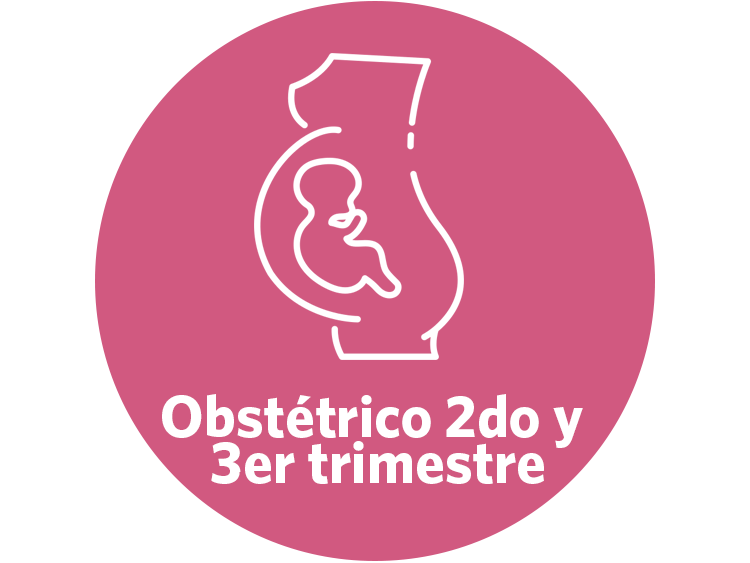 2do y 3er trimestres.png