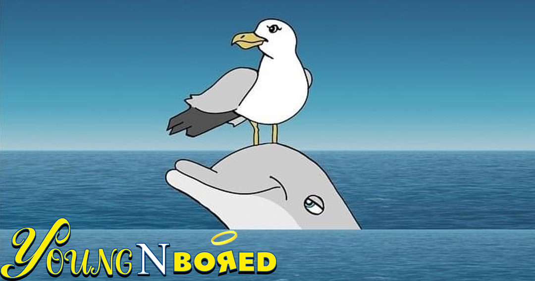 Seagull 'N' Dolphin