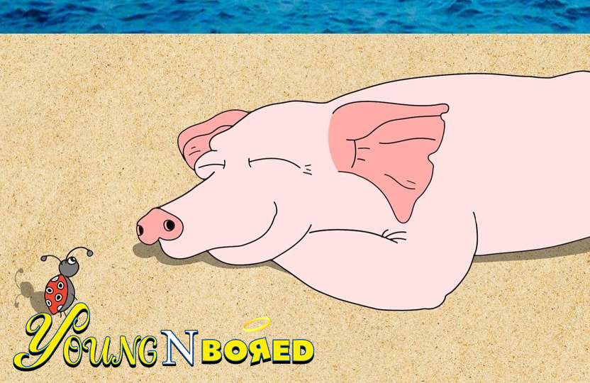 Piggy (Sleeping)