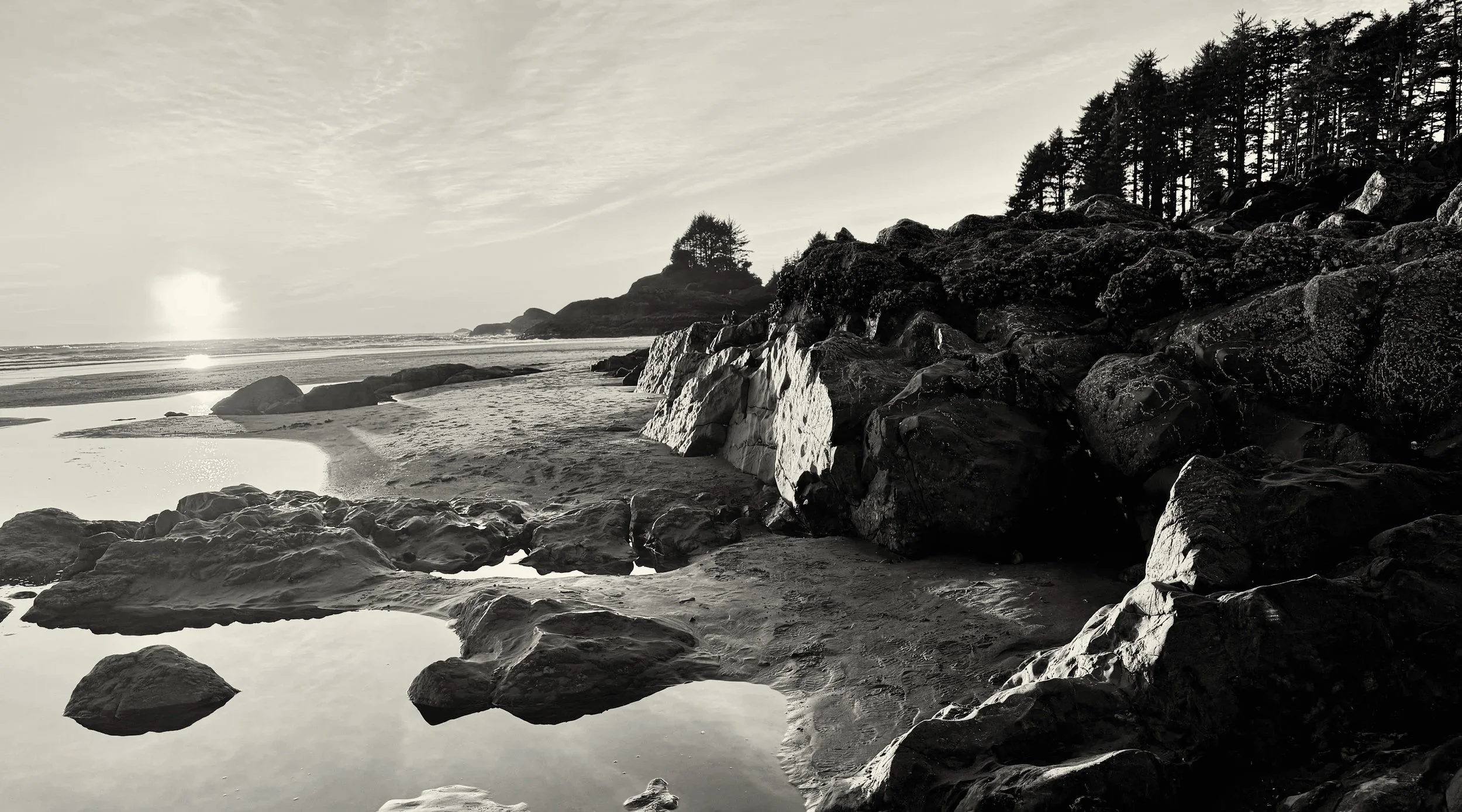 Black and white photo of a rocky beach with water pools, a sandy shoreline, and a hillside covered in trees under a cloudy sky.