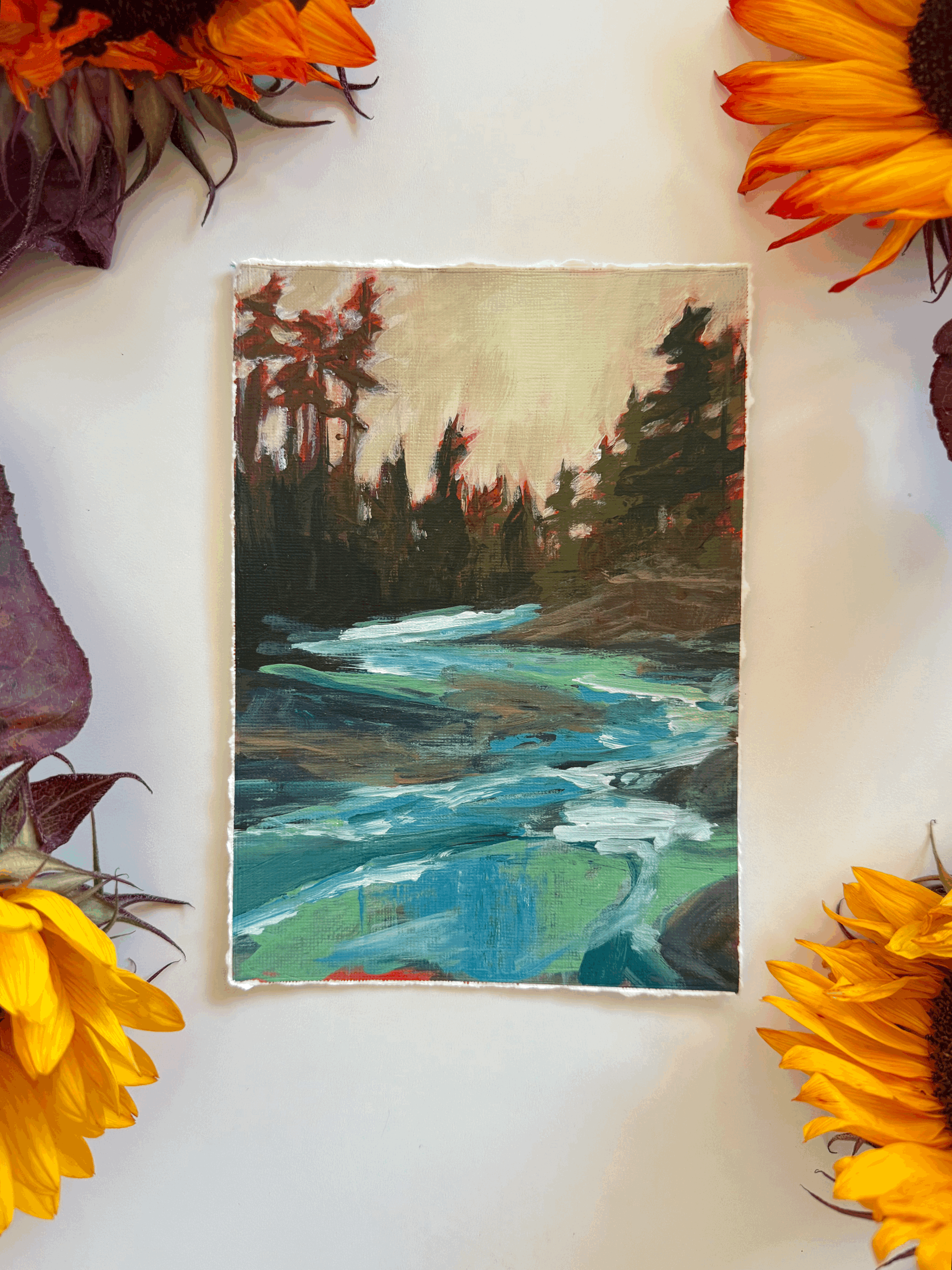 Late August Mini Original