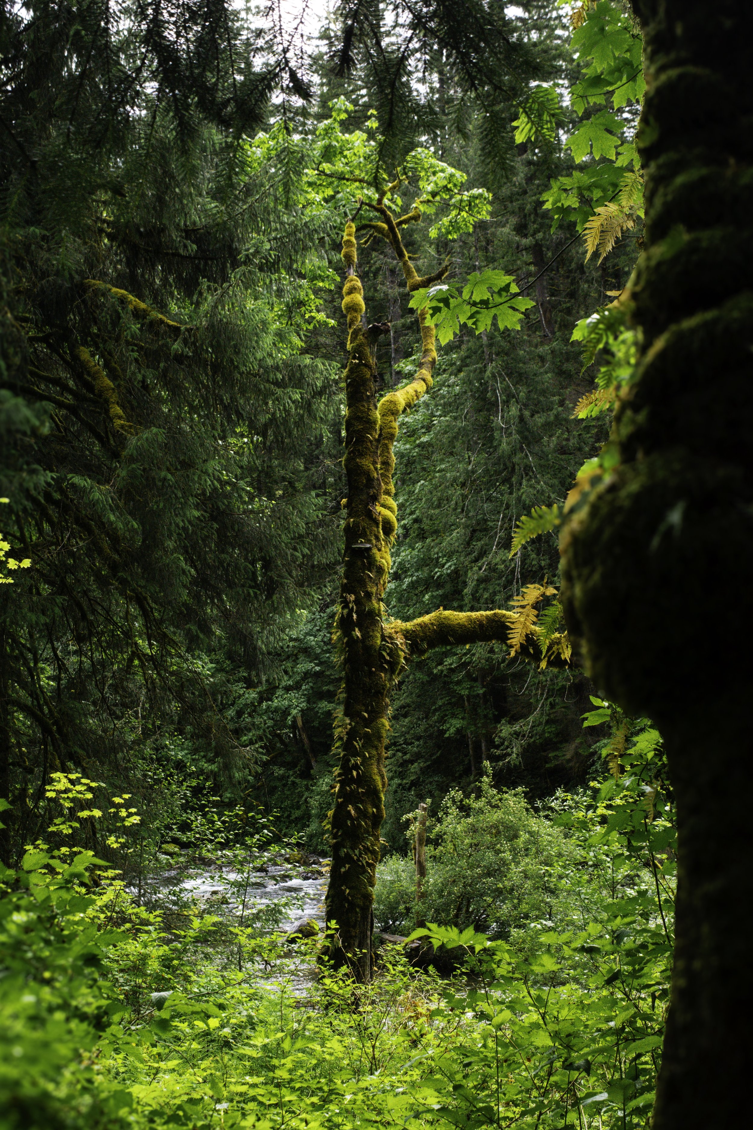 DSC_0103.jpg