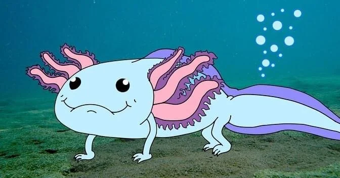 Axolotl