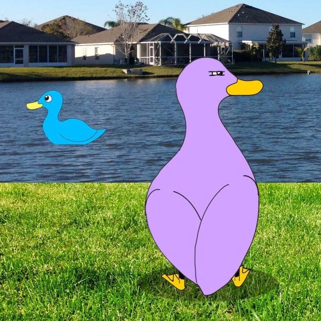 Duck