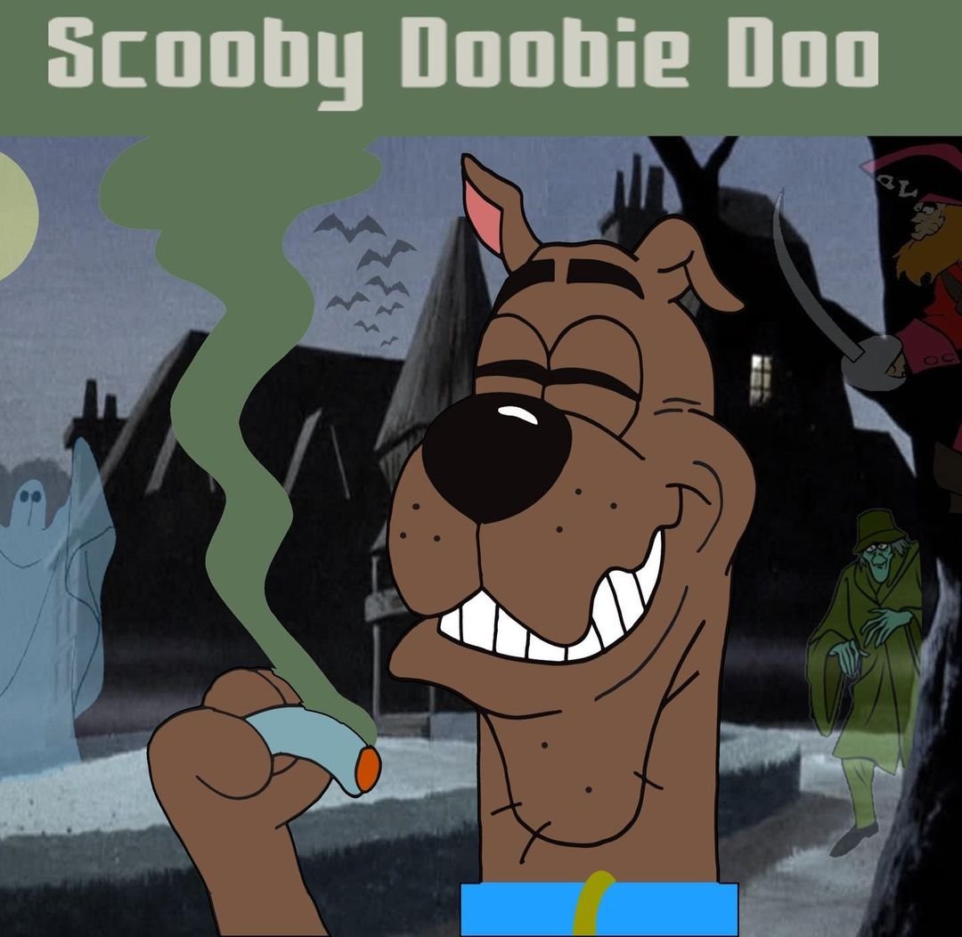 227350918_823262105248814_8109849779841134393_n (1).jpg