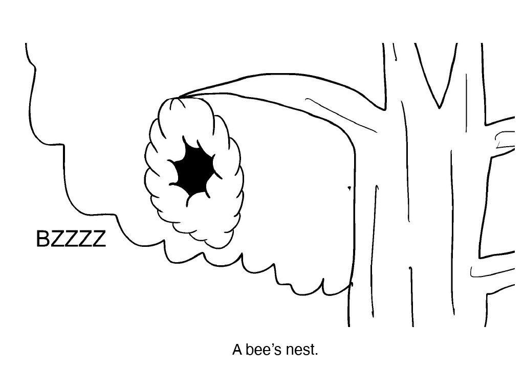 1734656609674-78151e48-b9cd-4ff7-8e43-ee262bcfdf81_53.png
