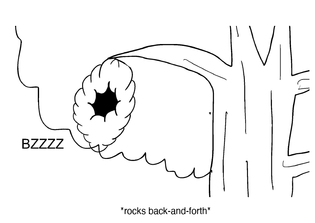 1734656609674-78151e48-b9cd-4ff7-8e43-ee262bcfdf81_54.png
