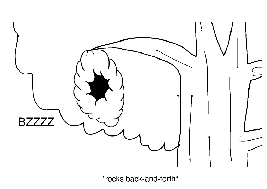 1734656609674-78151e48-b9cd-4ff7-8e43-ee262bcfdf81_55.png
