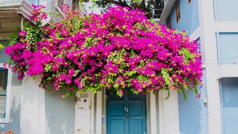 Pondicherry - 1.jpeg