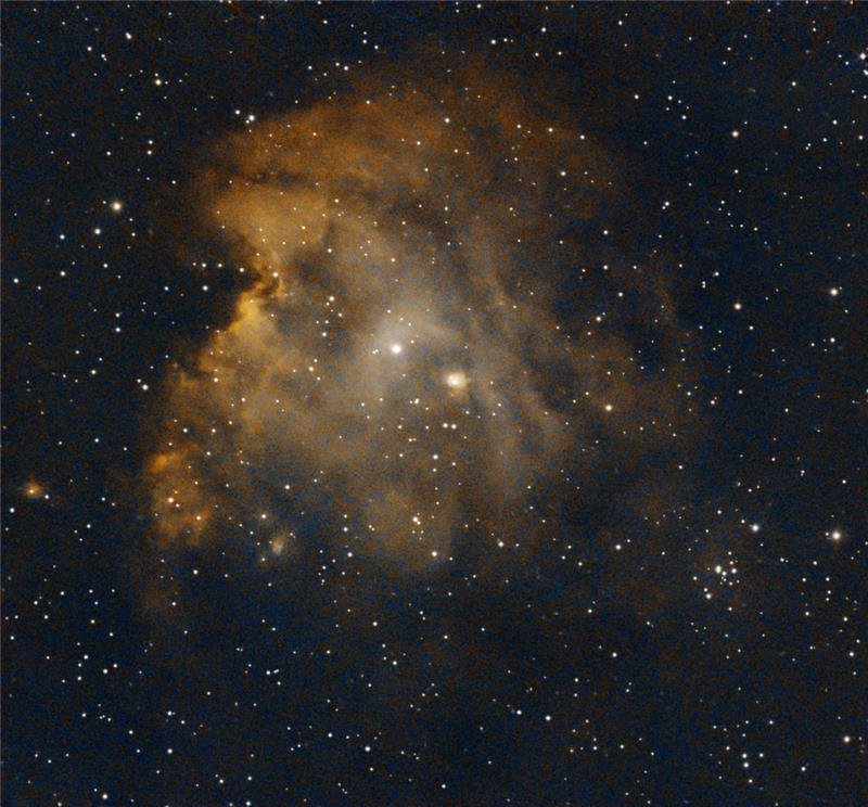 NGC 2175 Monkey Head Nebula, 50 minutes exposure with Seestar S50