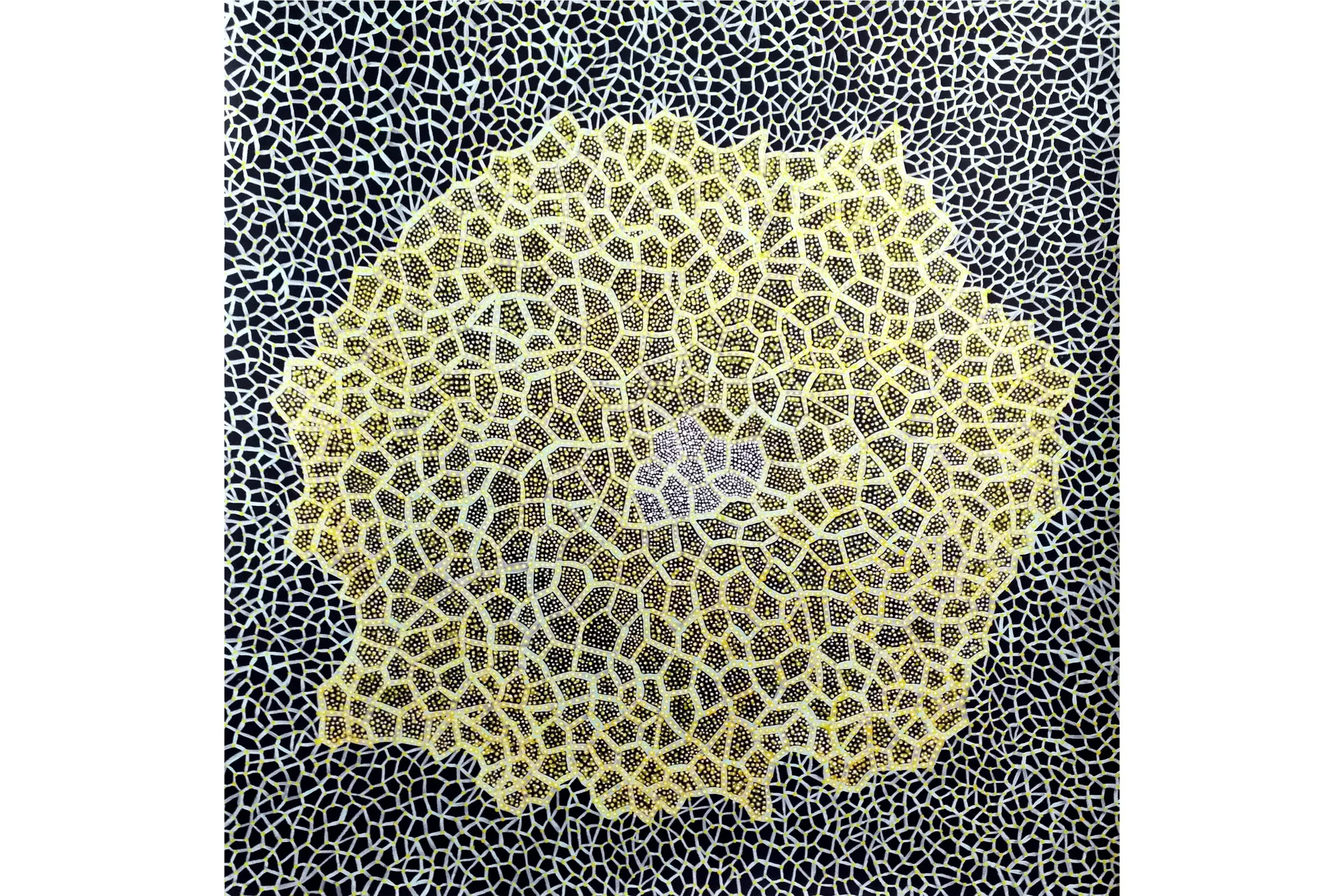 86x86cm B Prost Yellow Coral wr.jpg