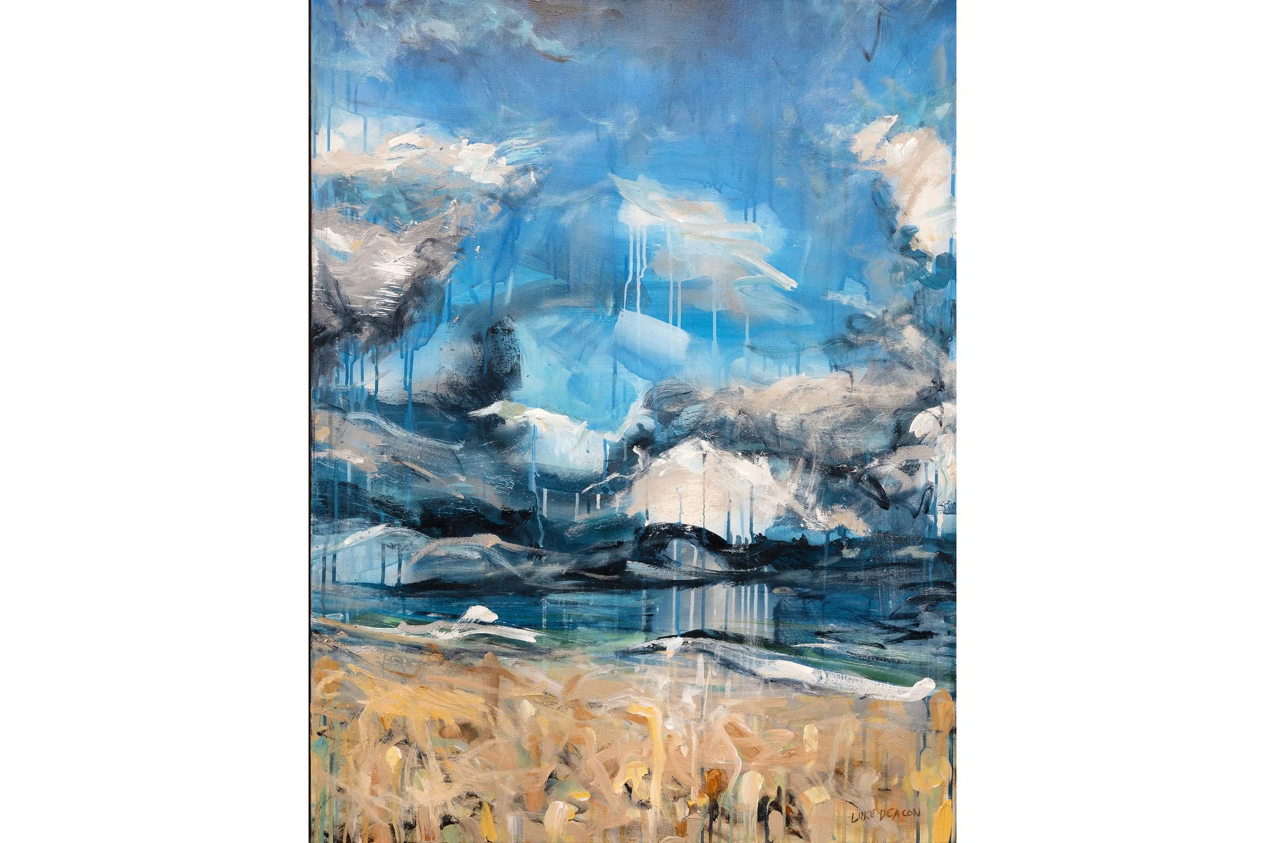 Murmurs at Noosa Spit