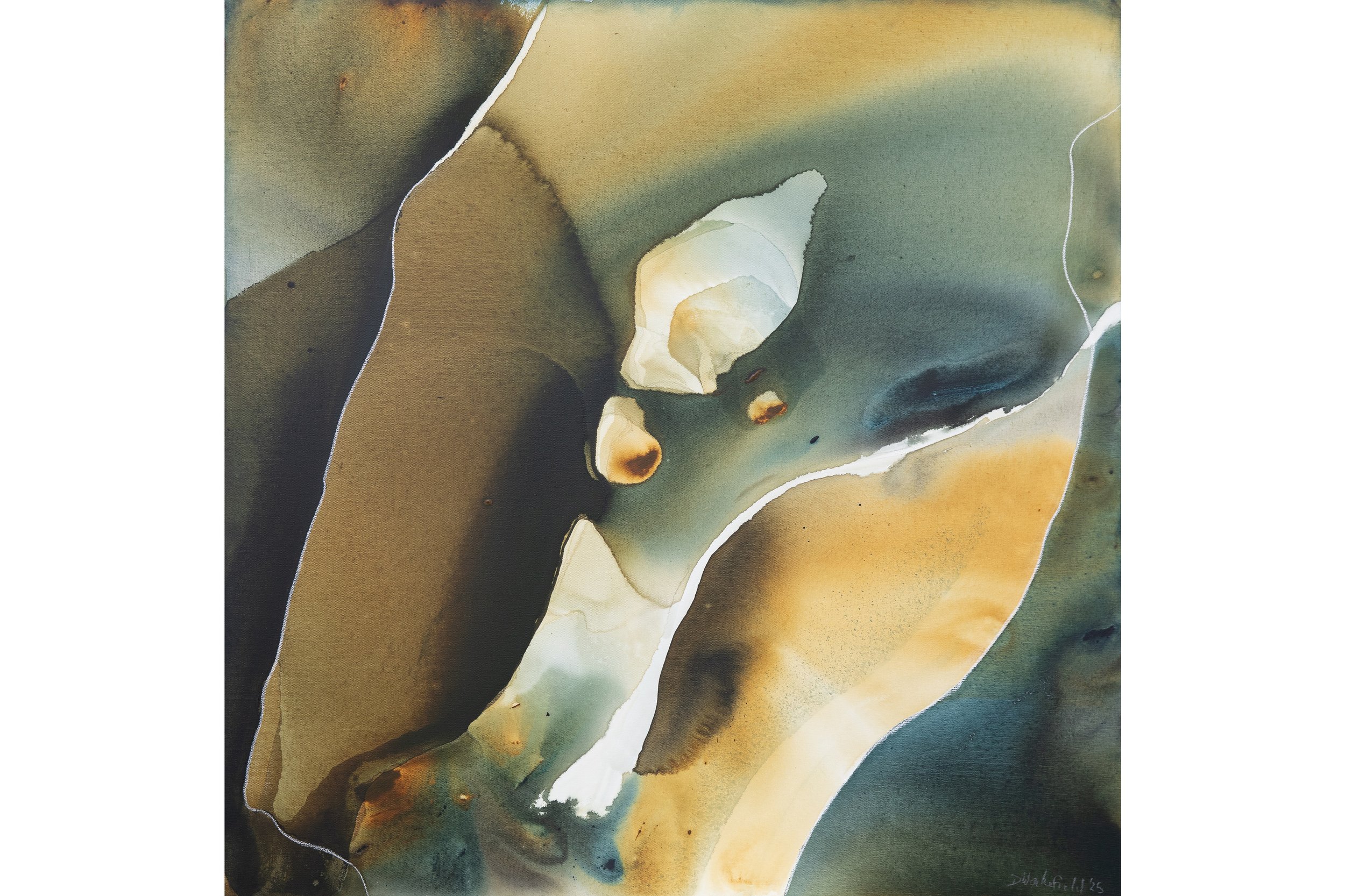 Everglades (102x102) wr.jpg