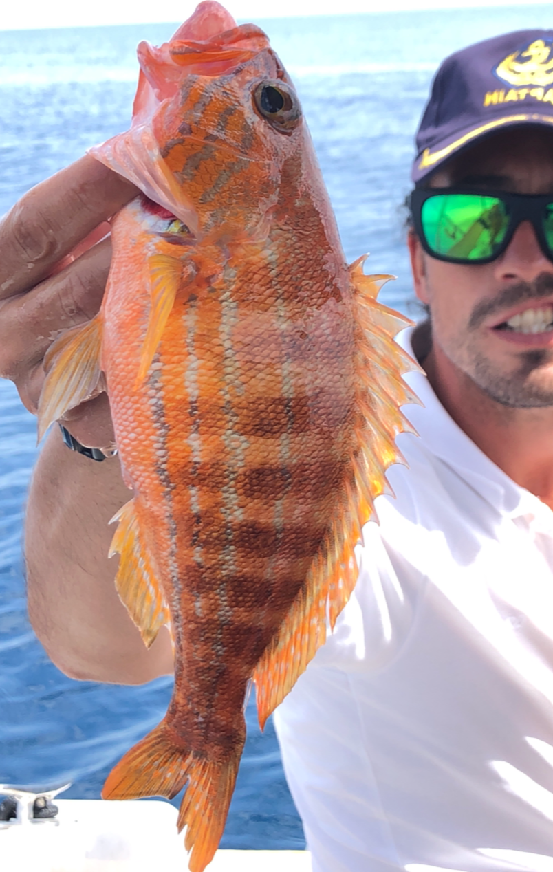 Pesca%2Ben%2BMarbella%2Bcon%2BRental%2BBoat%2BMarbell%2B1.png