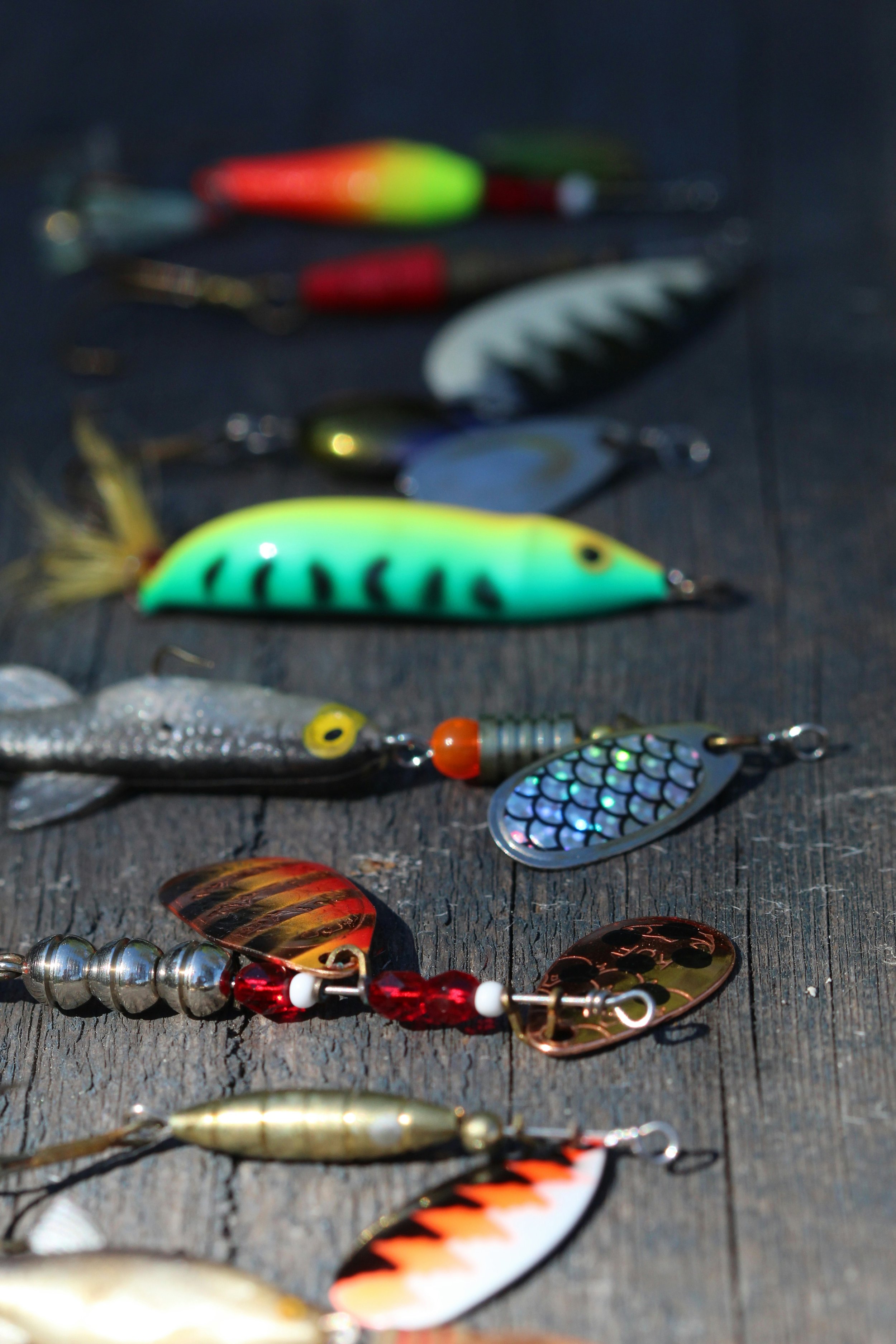 Fishing rentalboatmarbella in Marbella.jpg