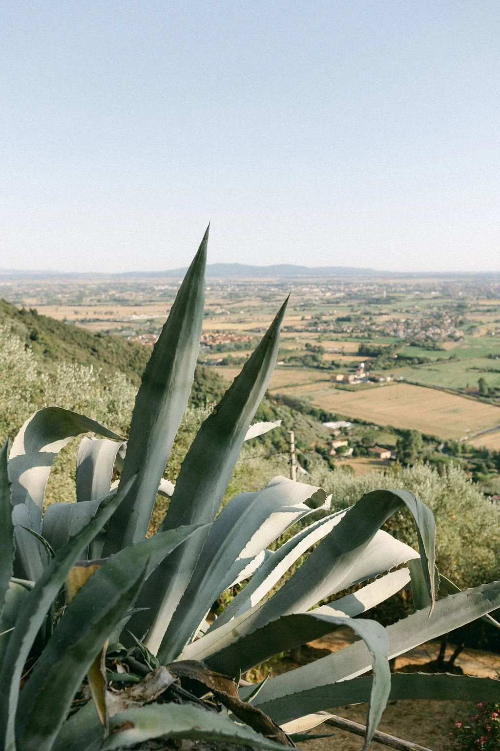 569.jpg