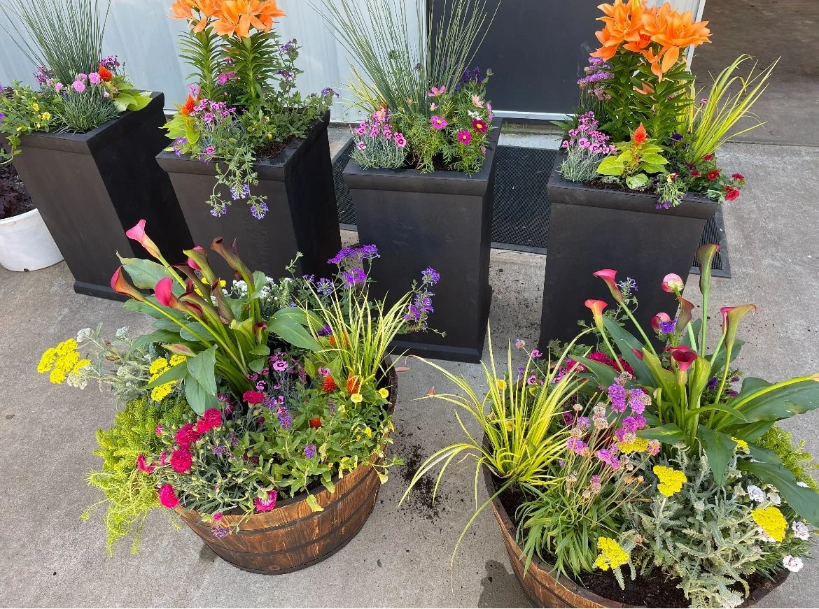 Planters featuring yellow, purple, pink, and green flowers and plantings arranged to display on patio of local business in Athens, GA