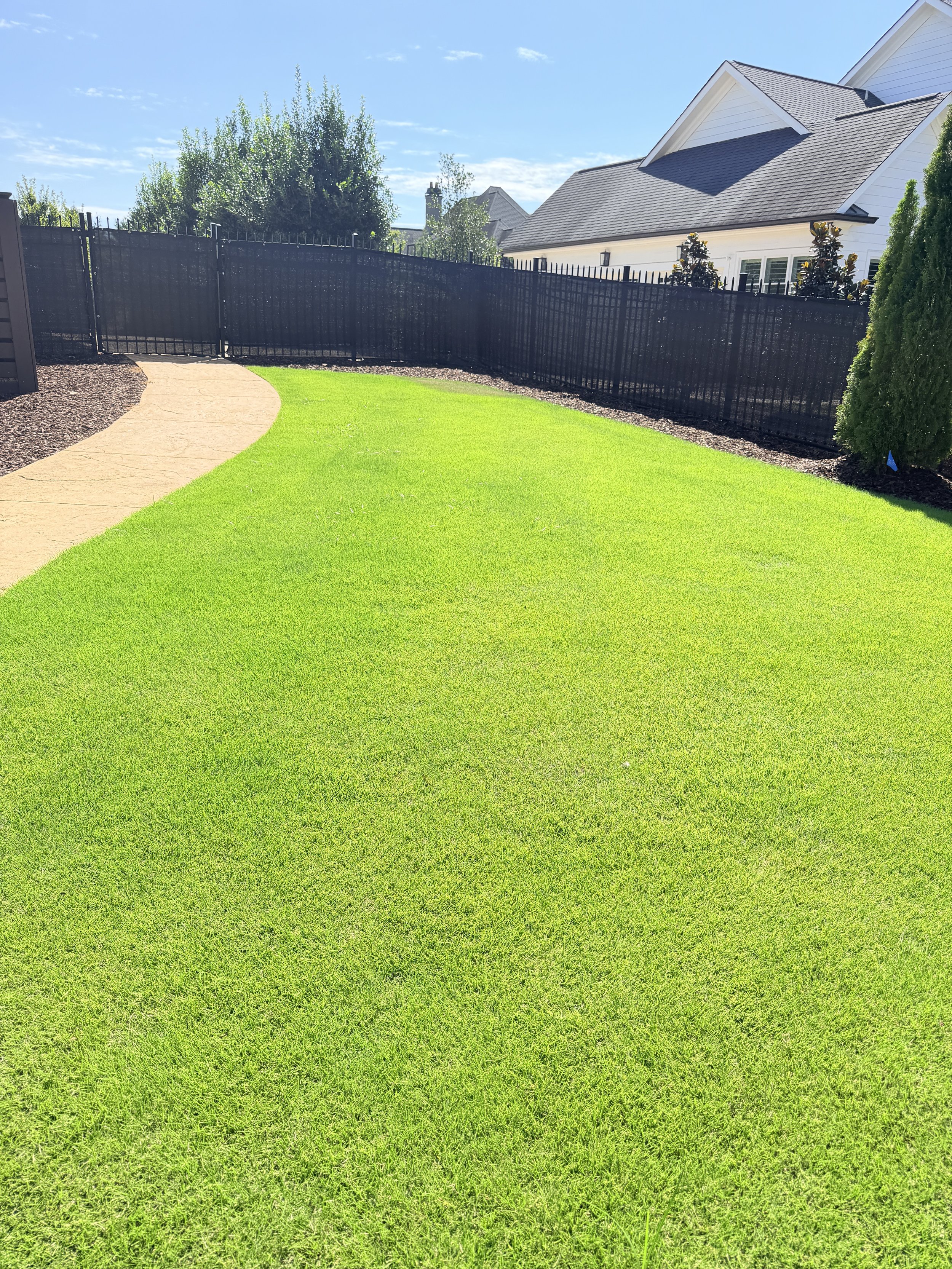 freshly landscaped backyard with green bermuda sod installed