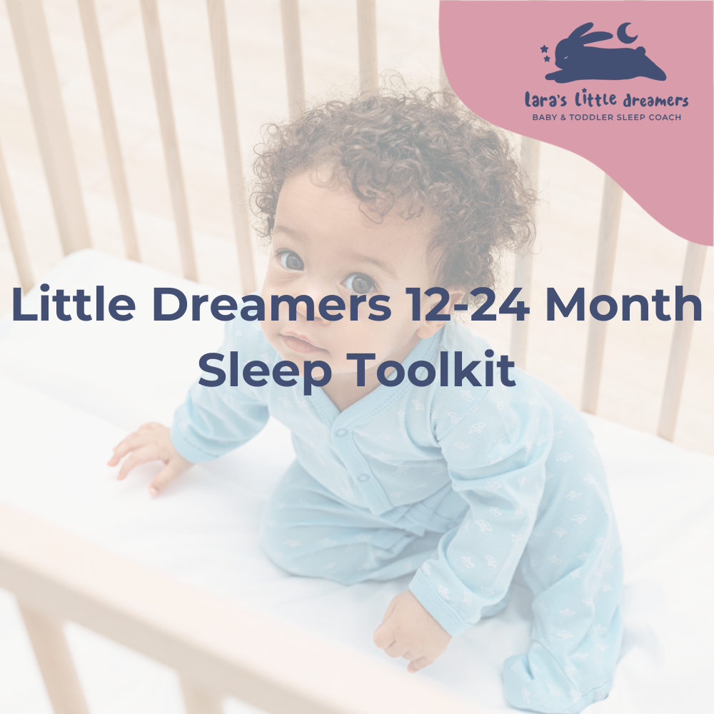 Little Dreamers 12-24 Month Sleep Toolkit.png