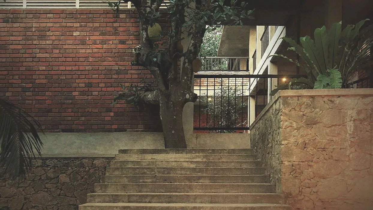 Concrete steps leading up to a small balcony with a black metal railing, tree with thick trunk and branches, brick wall, plants including a large leafy plant, and a stone wall in the background.