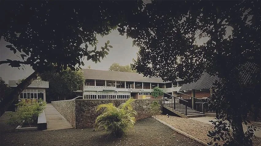 View of a multi-story building through trees and foliage, with stairs leading up to a patio area, in a landscaped outdoor setting.